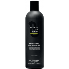Sampon energizant anti-cadere pentru barbati - Energizing Low Shampoo - Blends of Many - Alfaparf - 250 ml